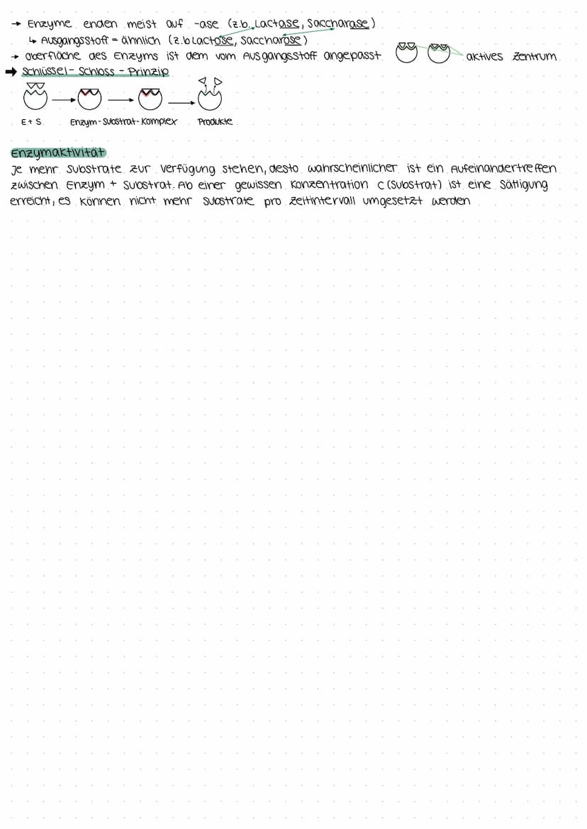 Biologie Klausur E2
Biomembran.
Grundbaustein (Lecithin- Phospholipid)
4
polar (hydrophil, lipophob)
• Unpolar (hydrophob, lipophil)
--D Kop