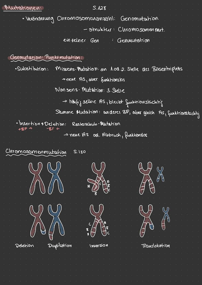 Aufbau & Vergleich Pro-Eukaryoten
Eukaryolen
Chloro-
plasten
Vakuole
Plasmid
dellkern
glattes ER ohne Ribosomen
Mitochondrien
PFLANZENZELLE.