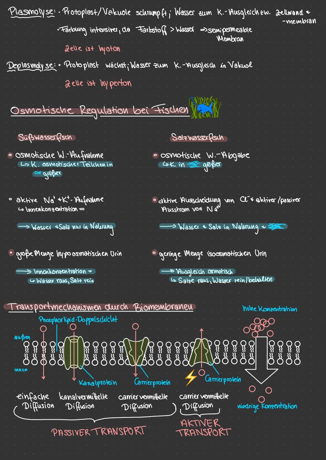 Aufbau & Vergleich Pro-Eukaryoten
Eukaryolen
Chloro-
plasten
Vakuole
Plasmid
dellkern
glattes ER ohne Ribosomen
Mitochondrien
PFLANZENZELLE.