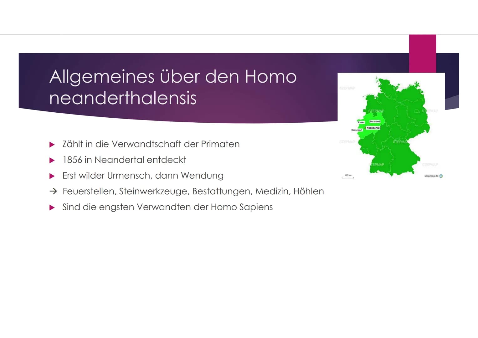 Der Neandertaler
EINE PRÄSENTATION VON VANESSA BEHRENS Gliederung
Zeitliche Einordnung
Allgemeines über den Homo neanderthalensis
DNA-Vergle