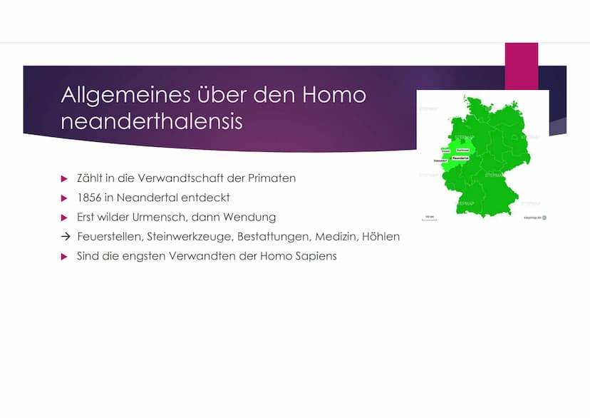 Der Neandertaler
EINE PRÄSENTATION VON VANESSA BEHRENS Gliederung
Zeitliche Einordnung
Allgemeines über den Homo neanderthalensis
DNA-Vergle