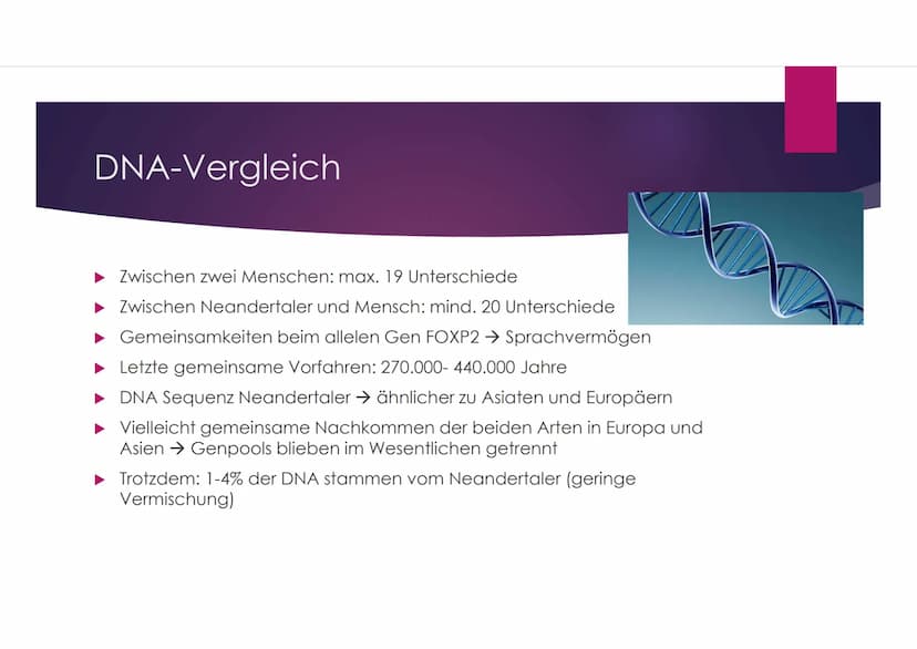 Der Neandertaler
EINE PRÄSENTATION VON VANESSA BEHRENS Gliederung
Zeitliche Einordnung
Allgemeines über den Homo neanderthalensis
DNA-Vergle