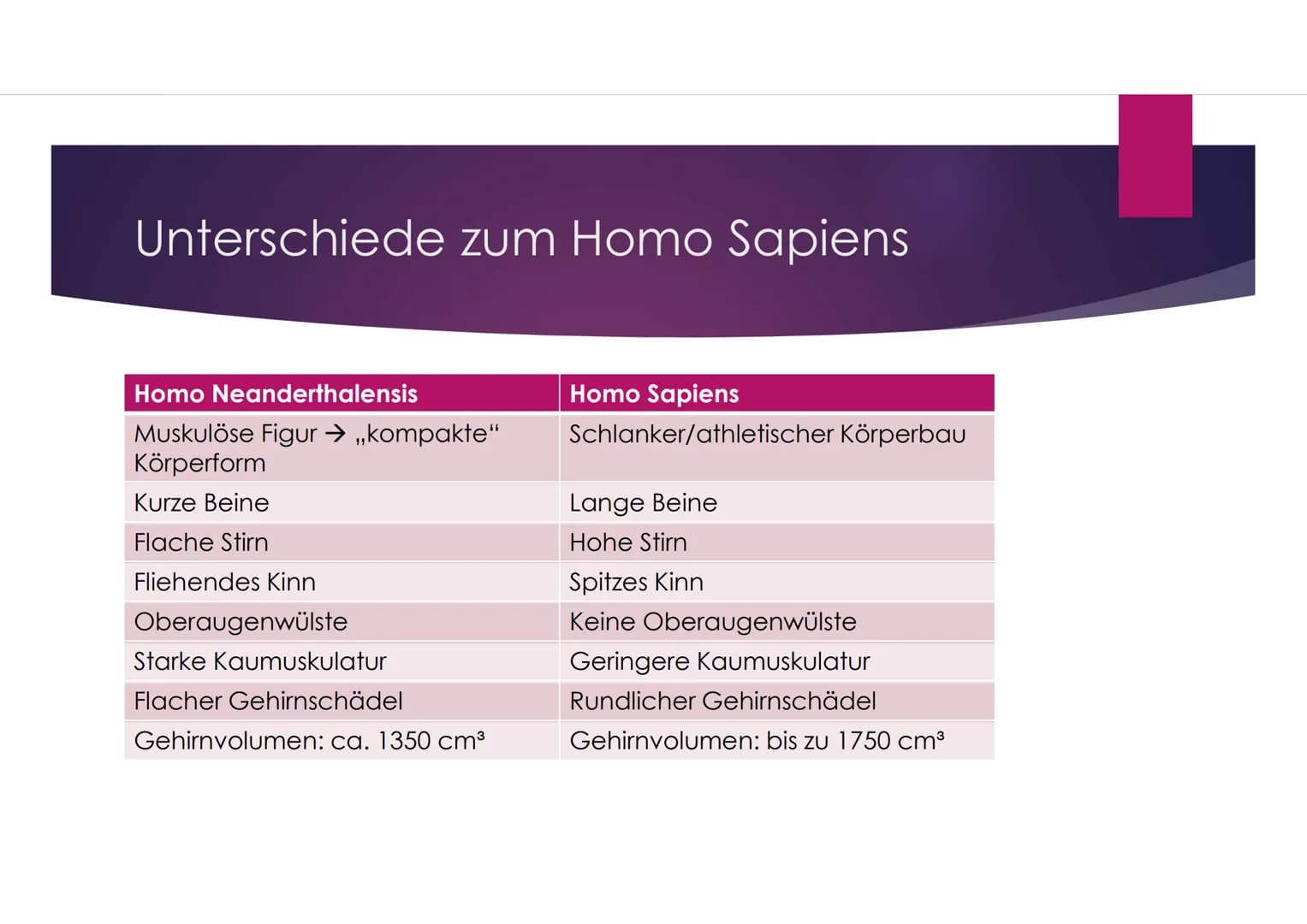 Der Neandertaler
EINE PRÄSENTATION VON VANESSA BEHRENS Gliederung
Zeitliche Einordnung
Allgemeines über den Homo neanderthalensis
DNA-Vergle