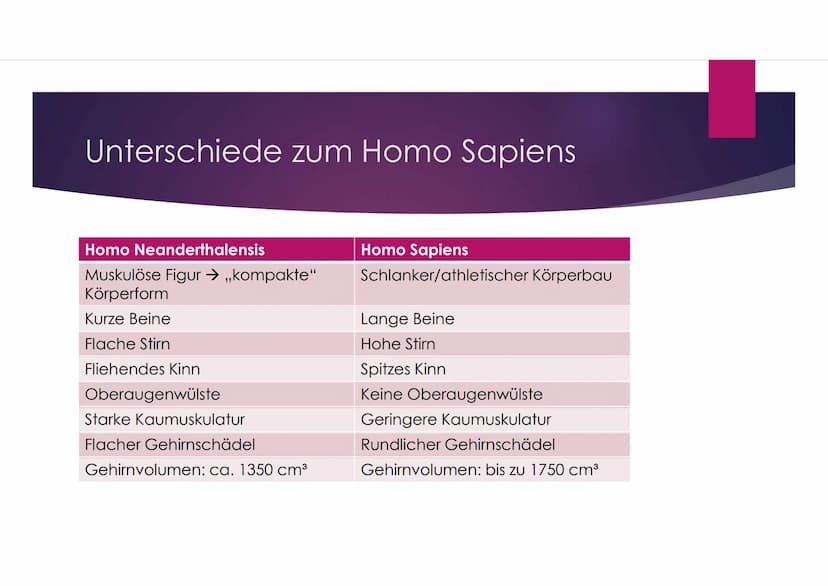 Der Neandertaler
EINE PRÄSENTATION VON VANESSA BEHRENS Gliederung
Zeitliche Einordnung
Allgemeines über den Homo neanderthalensis
DNA-Vergle