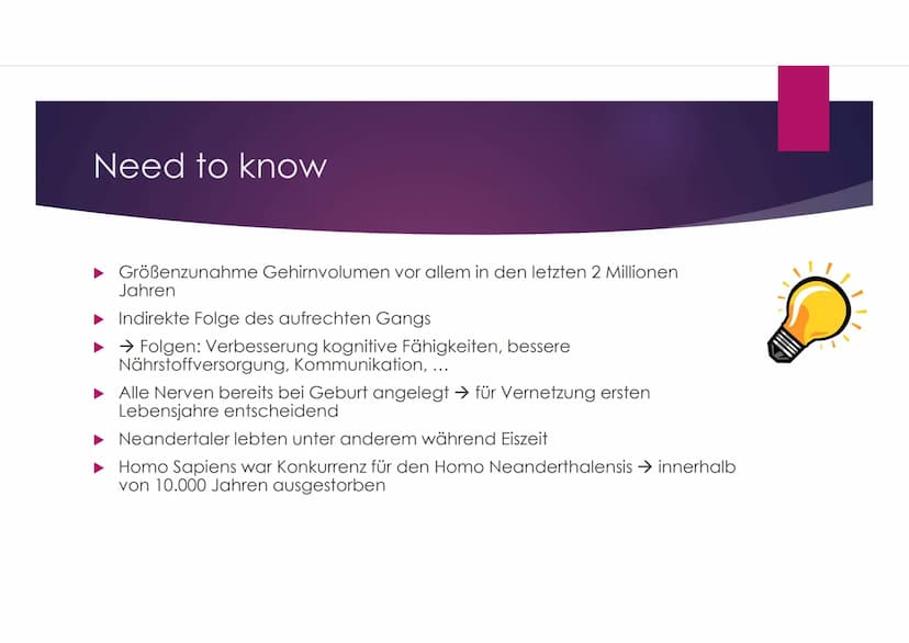 Der Neandertaler
EINE PRÄSENTATION VON VANESSA BEHRENS Gliederung
Zeitliche Einordnung
Allgemeines über den Homo neanderthalensis
DNA-Vergle