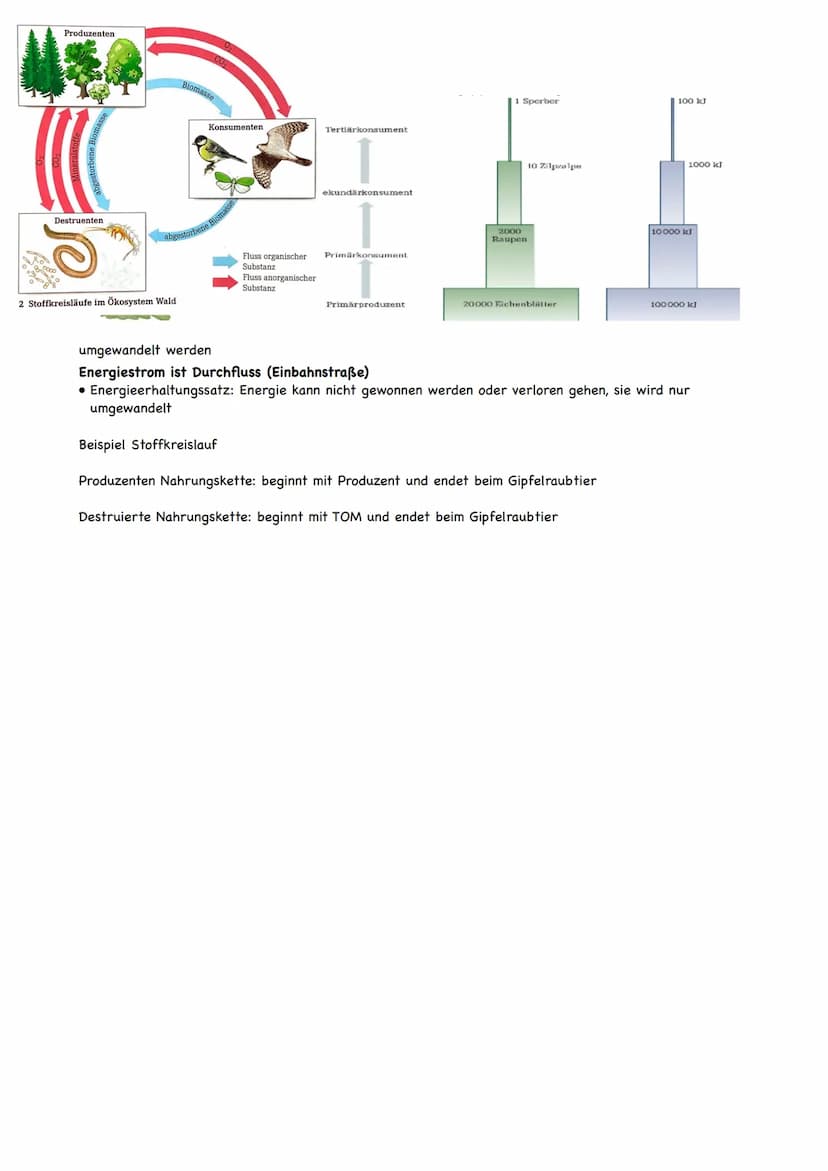 Ökologie
Ökologie ist eine Teildisziplin der Biologie, die sich mit den Wechselbeziehungen der
Organismen zu ihrer belebten und unbelebten U