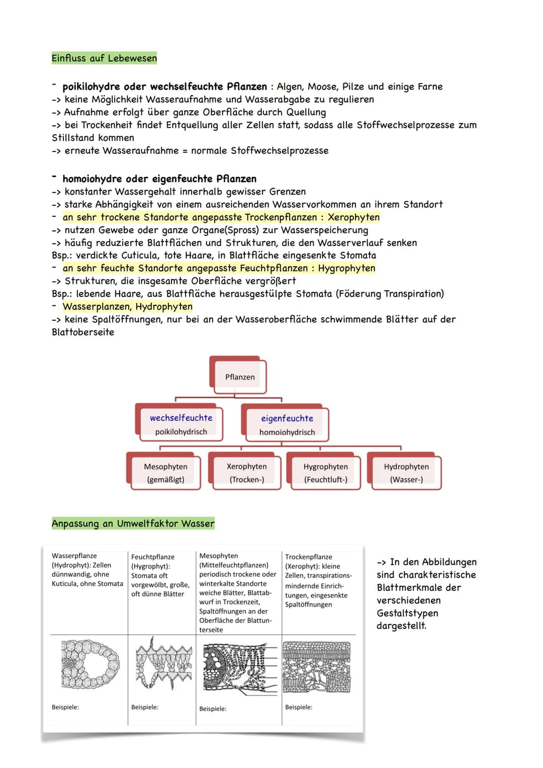 Ökologie
Ökologie ist eine Teildisziplin der Biologie, die sich mit den Wechselbeziehungen der
Organismen zu ihrer belebten und unbelebten U
