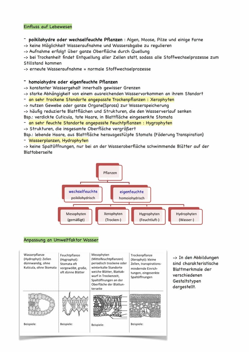 Ökologie
Ökologie ist eine Teildisziplin der Biologie, die sich mit den Wechselbeziehungen der
Organismen zu ihrer belebten und unbelebten U