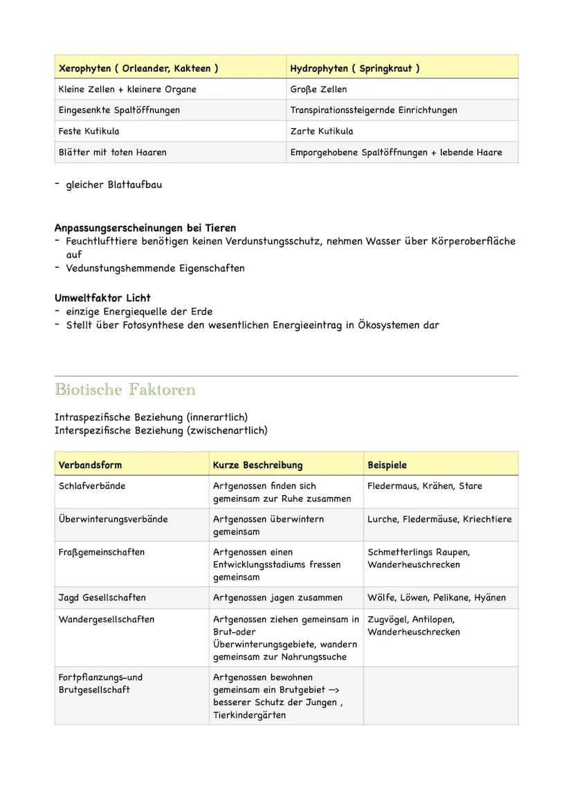 Ökologie
Ökologie ist eine Teildisziplin der Biologie, die sich mit den Wechselbeziehungen der
Organismen zu ihrer belebten und unbelebten U