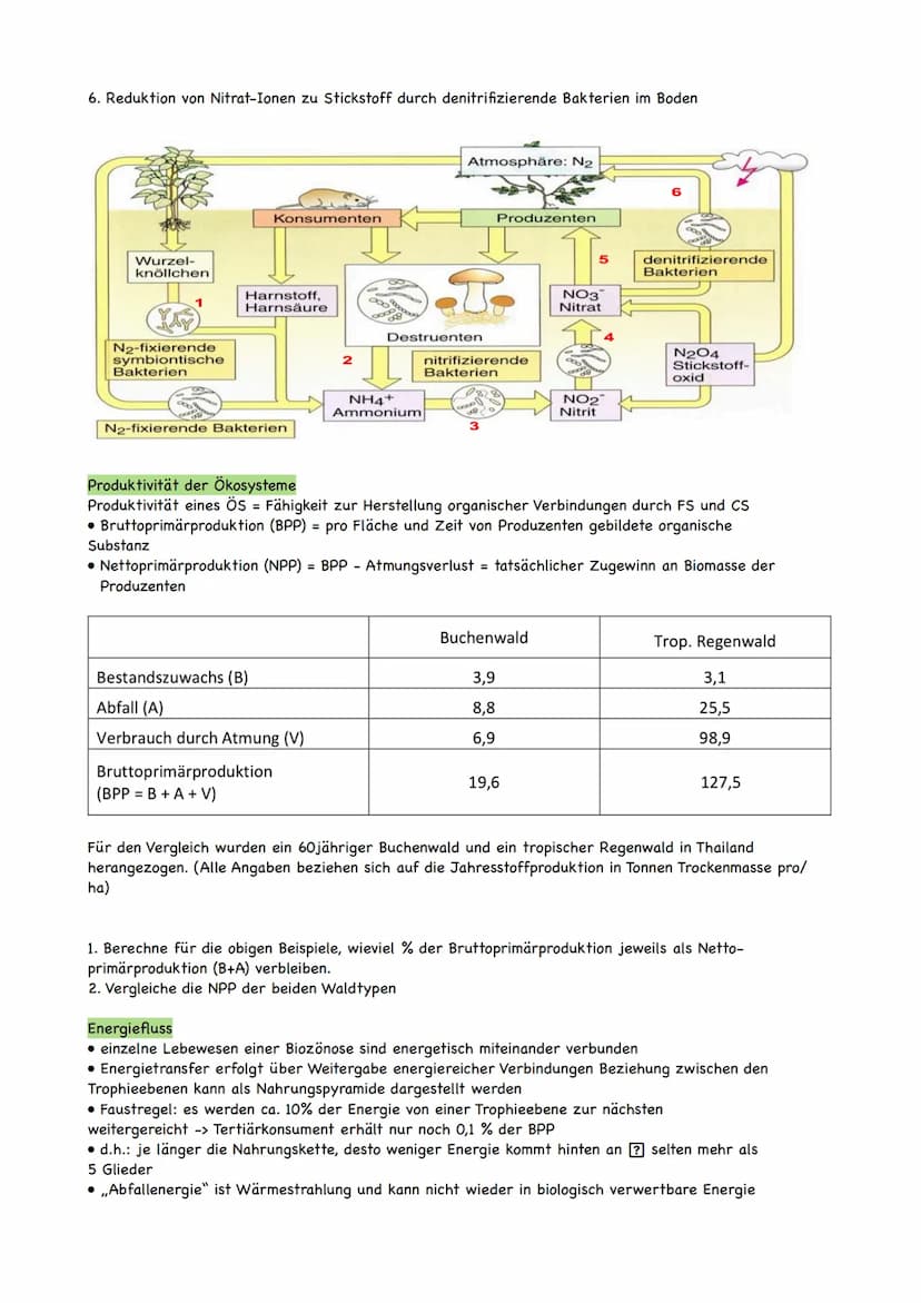 Ökologie
Ökologie ist eine Teildisziplin der Biologie, die sich mit den Wechselbeziehungen der
Organismen zu ihrer belebten und unbelebten U