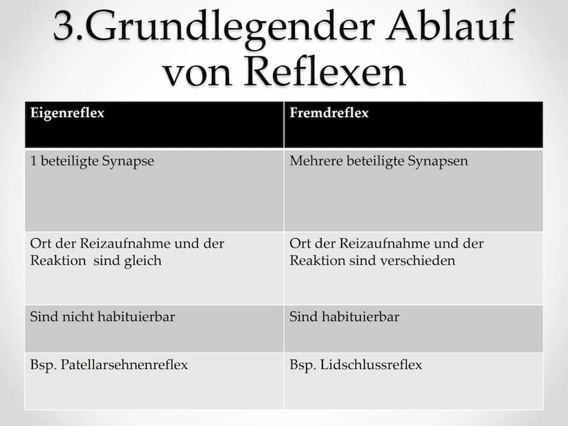 Reflexe
GFS im Fach Biologie ●
●
●
Gliederung
1. Beispiele von Reflexen
2. Kniescheibensehnenreflex
• 3. Grundlegender Ablauf eines Reflexes