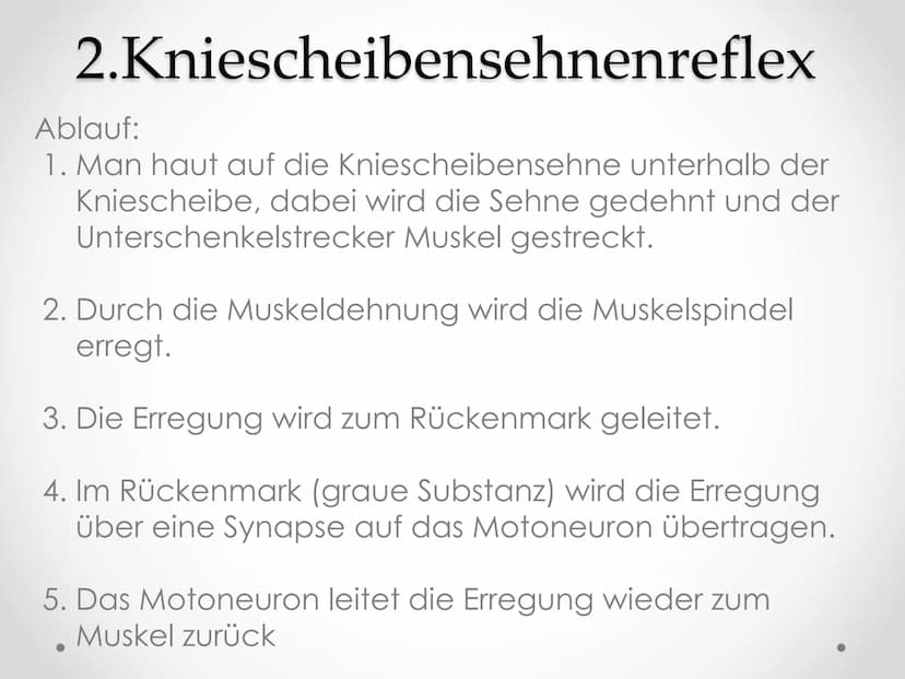 Reflexe
GFS im Fach Biologie ●
●
●
Gliederung
1. Beispiele von Reflexen
2. Kniescheibensehnenreflex
• 3. Grundlegender Ablauf eines Reflexes