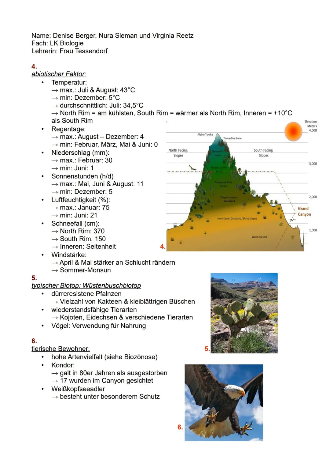 Gliederung:
1.
2.
3.
1. Name des Ökosystems
2. geografische Lage
3. Klassifizierung
4. abiotische Faktoren
5. Biotop
6. tierische und pflanz