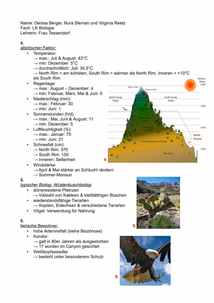 Gliederung:
1.
2.
3.
1. Name des Ökosystems
2. geografische Lage
3. Klassifizierung
4. abiotische Faktoren
5. Biotop
6. tierische und pflanz
