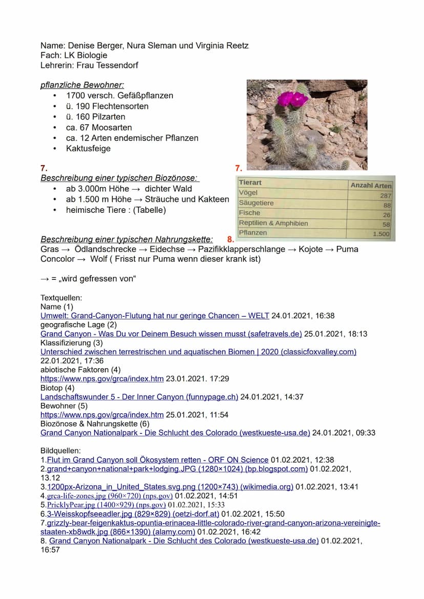 Gliederung:
1.
2.
3.
1. Name des Ökosystems
2. geografische Lage
3. Klassifizierung
4. abiotische Faktoren
5. Biotop
6. tierische und pflanz
