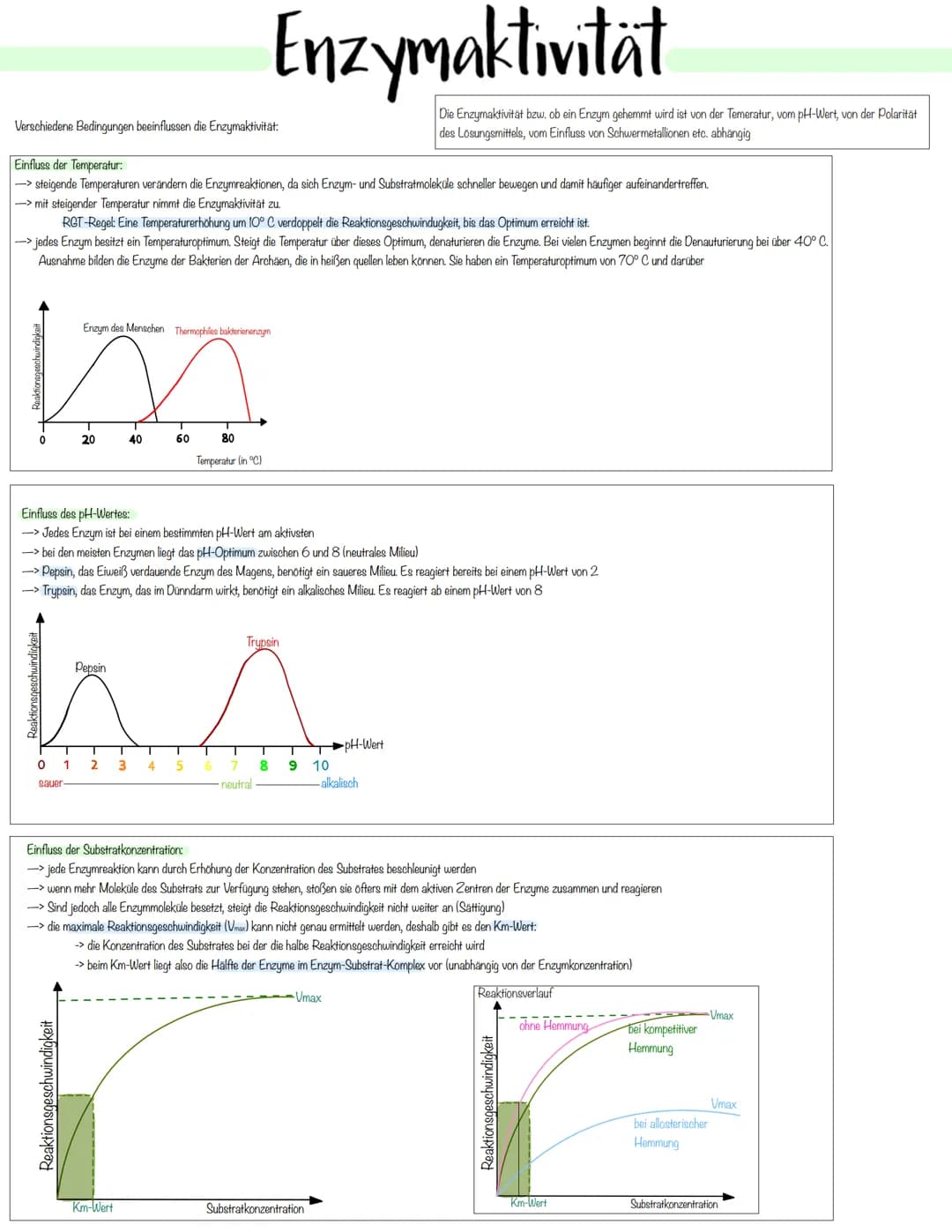 Enzymatik Enzyme:
-> Enzyme sind Biokatalysatoren, die die Aktivierungsenergie herabsetzen und so die Reaktionsgeschwindigkeit erhöhen
-> En