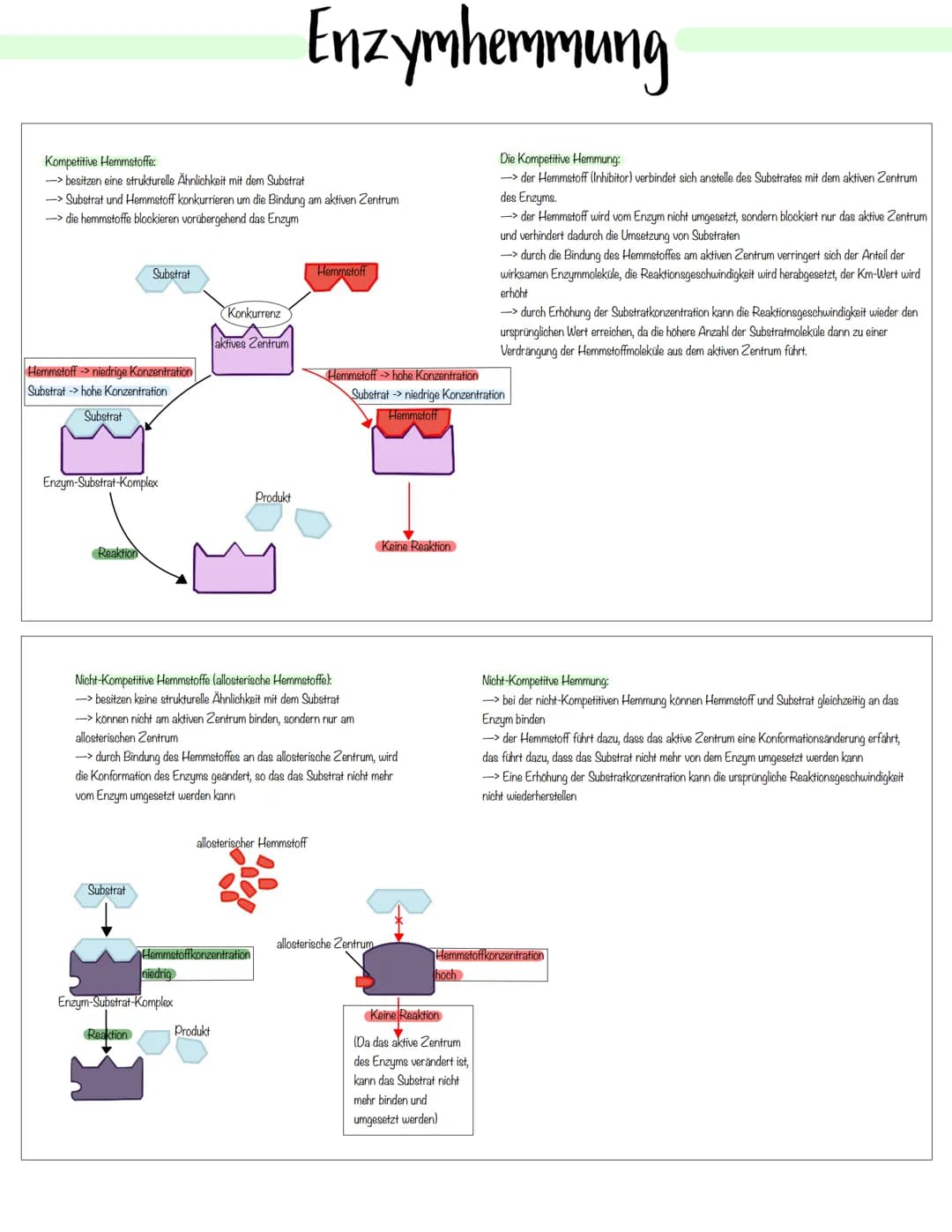 Enzymatik Enzyme:
-> Enzyme sind Biokatalysatoren, die die Aktivierungsenergie herabsetzen und so die Reaktionsgeschwindigkeit erhöhen
-> En