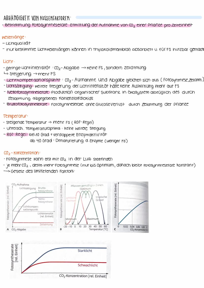 BIOLOGIELERNZETTEL- Fotosynthese & Ökologie
umwandlung von Licht in
chemisch gebund. Energie
↓
PRIMÄRPROZESSE
AUFBAU VON LAUBBLATT:
BEDEUTUN
