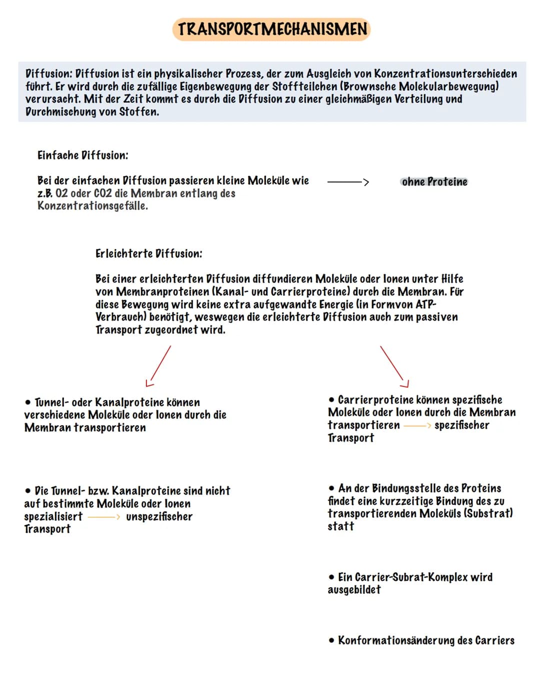 Eingehender Reiz
AUFBAU UND FUNKTION EINES NEURONS
Dendrit
Zellmembran
Zellkern
Ranvier 'scher Schnürring
Soma Axon
synaptisches Endknöpfche