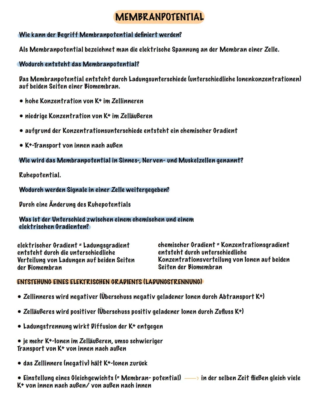 Eingehender Reiz
AUFBAU UND FUNKTION EINES NEURONS
Dendrit
Zellmembran
Zellkern
Ranvier 'scher Schnürring
Soma Axon
synaptisches Endknöpfche