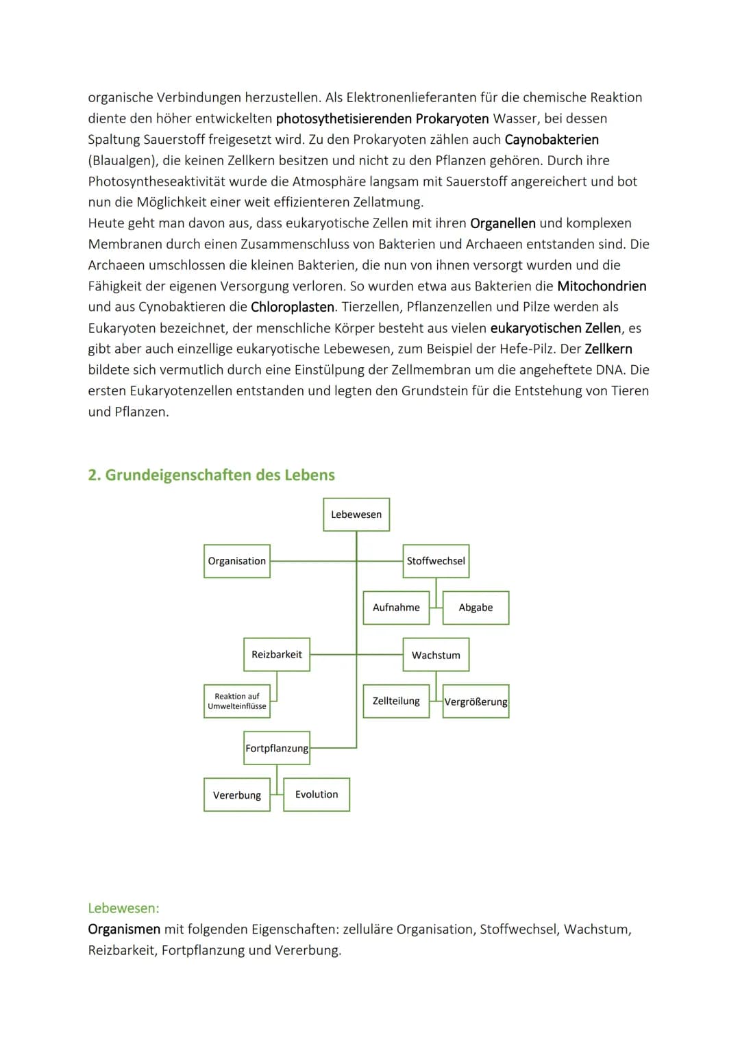 Evolution - Einführung
1. Entstehung des Lebens
chemische
Evolution
Entstehung
des Lebens
anorganische
organische
Verbindungen Verbidnungen
