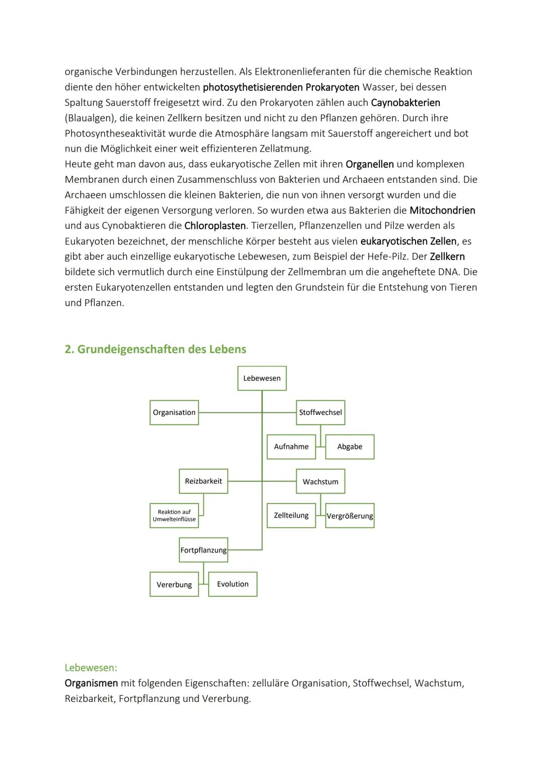 Evolution - Einführung
1. Entstehung des Lebens
chemische
Evolution
Entstehung
des Lebens
anorganische
organische
Verbindungen Verbidnungen
