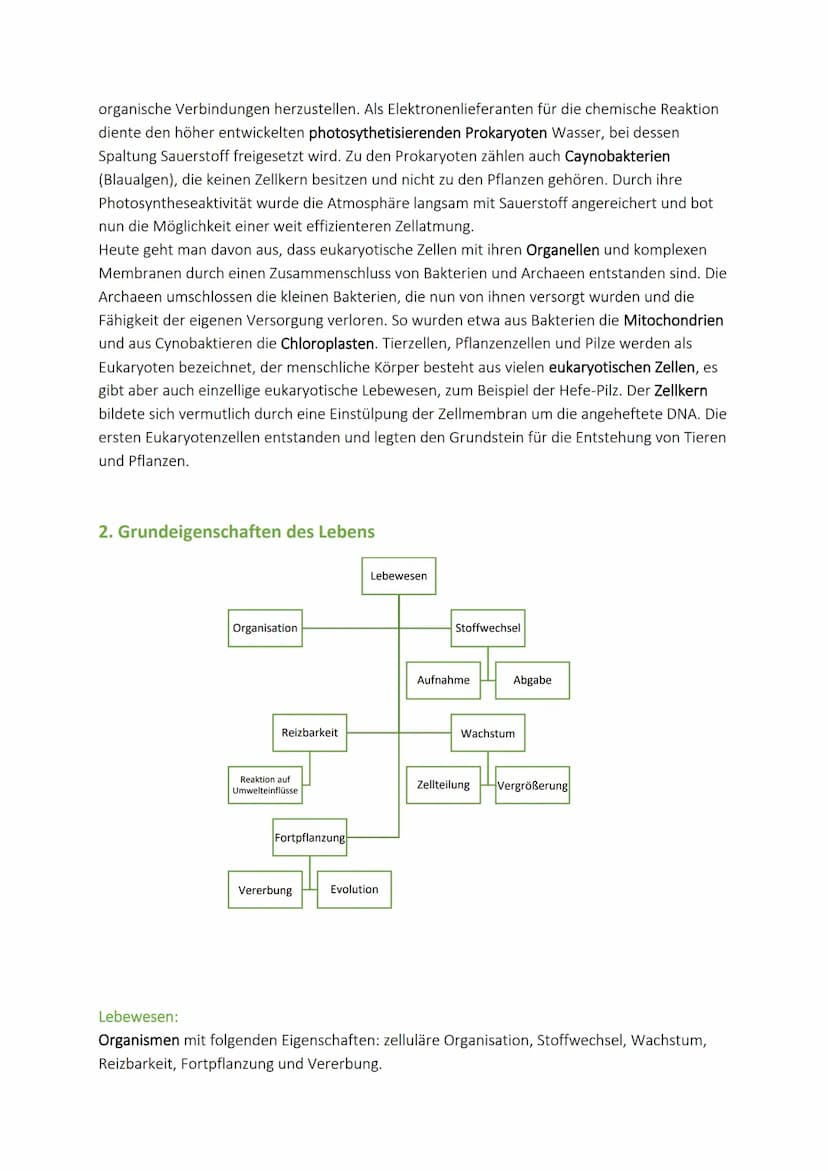 Evolution - Einführung
1. Entstehung des Lebens
chemische
Evolution
Entstehung
des Lebens
anorganische
organische
Verbindungen Verbidnungen

