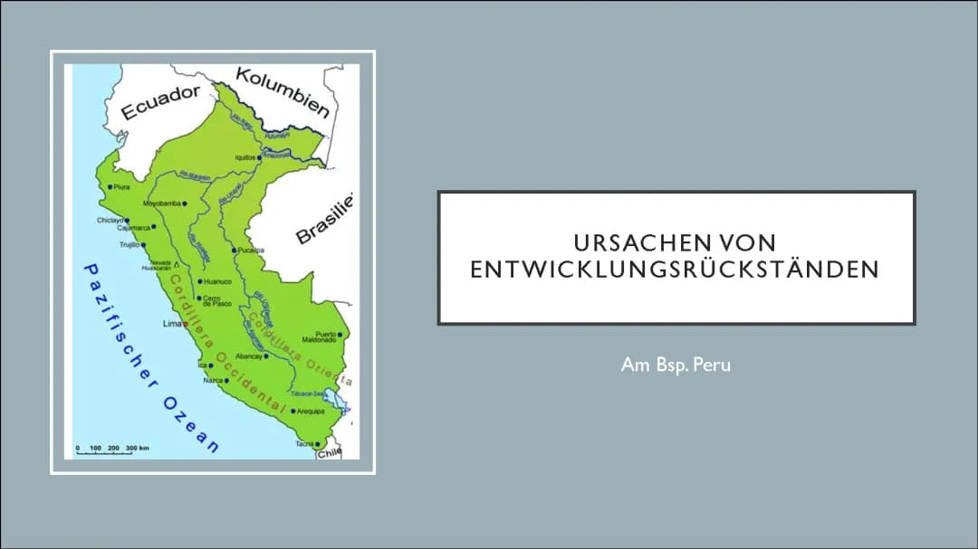 Ursachen von Entwicklungsrückständen(Peru)