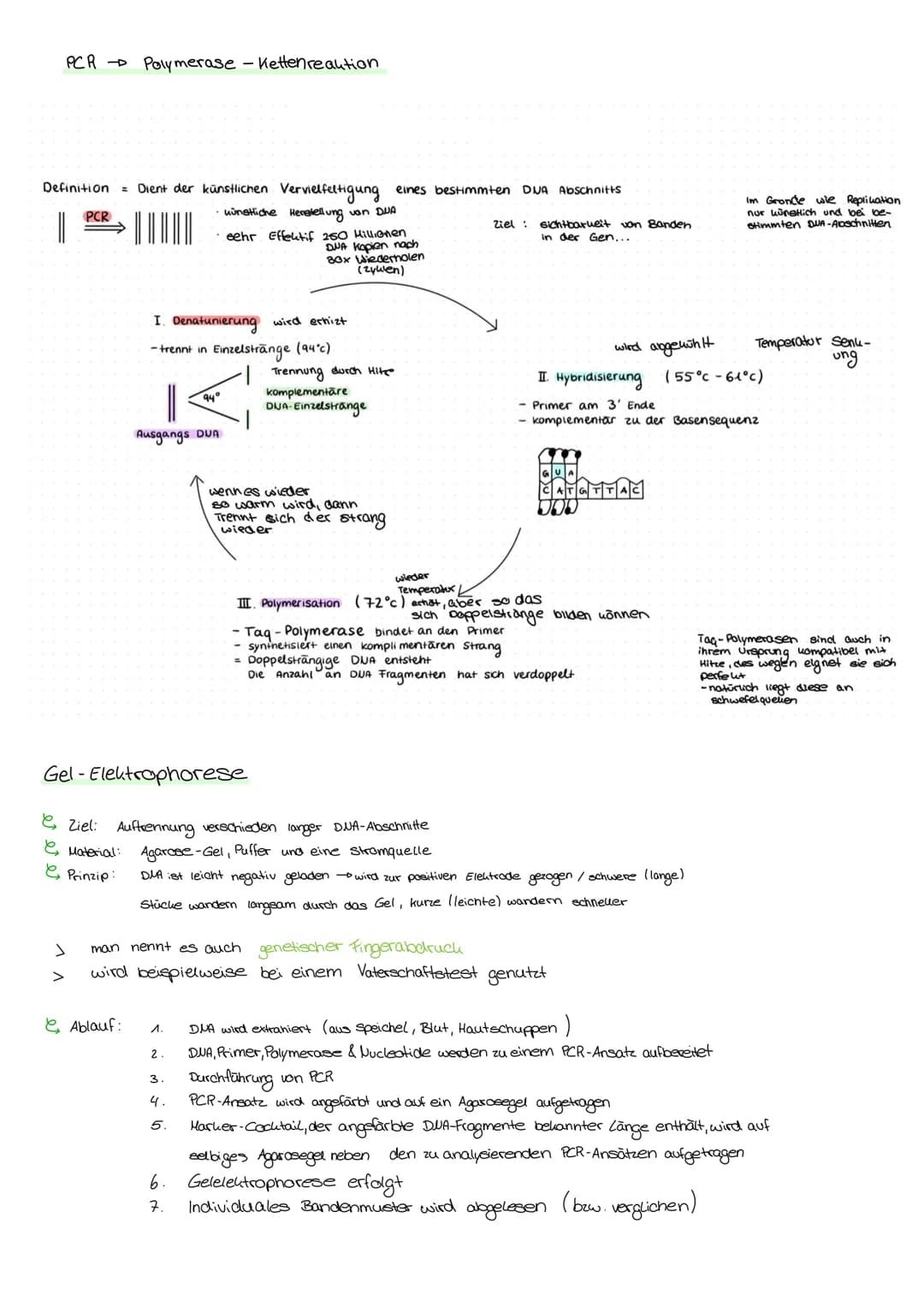 пеплоногоди Aufbau und Funktion der Nervenzelle:
Soma:
Dendriten:
eigentliche Lellkörper
Beinhalten → Plasma, Lelluern, Mitrochondrien und d