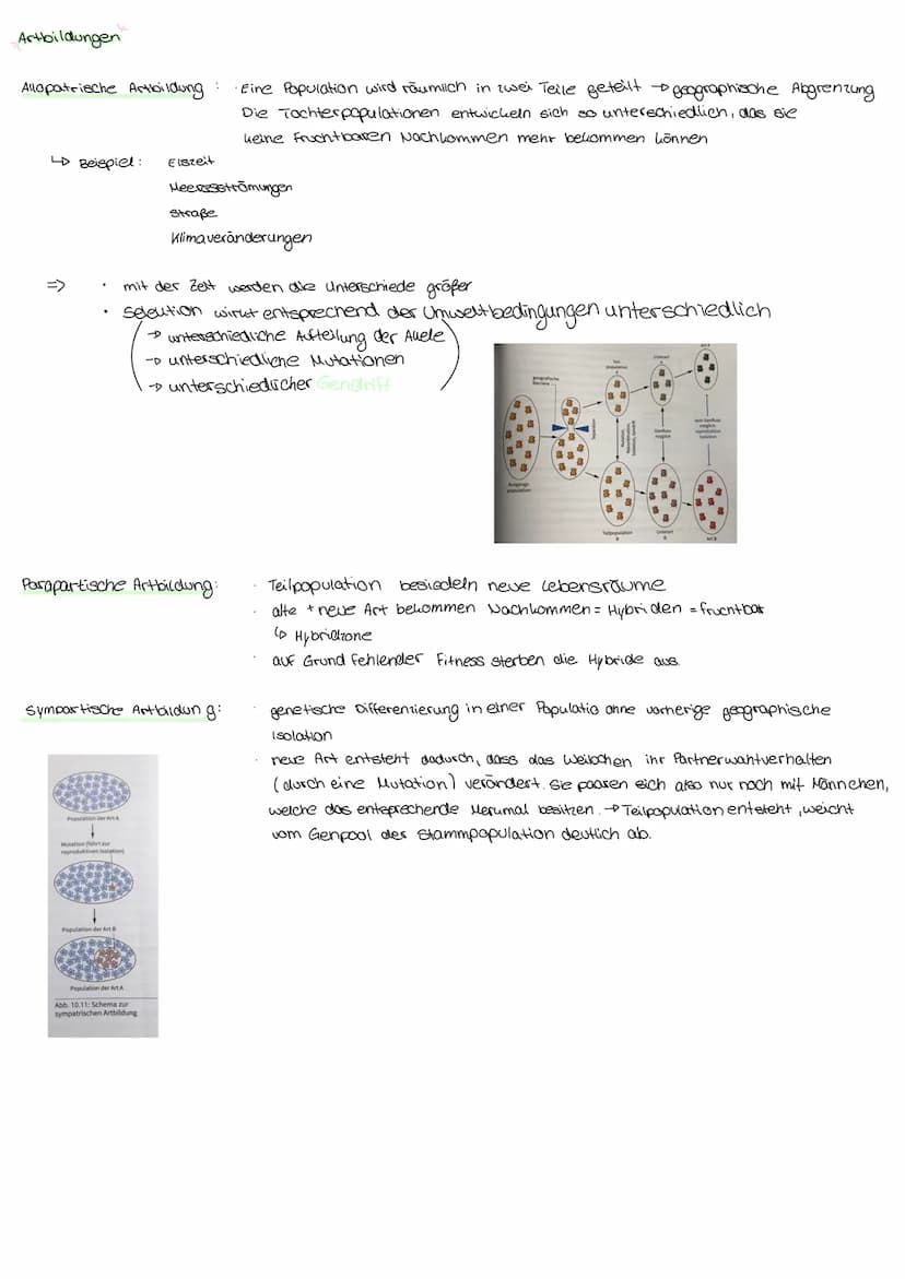 пеплоногоди Aufbau und Funktion der Nervenzelle:
Soma:
Dendriten:
eigentliche Lellkörper
Beinhalten → Plasma, Lelluern, Mitrochondrien und d