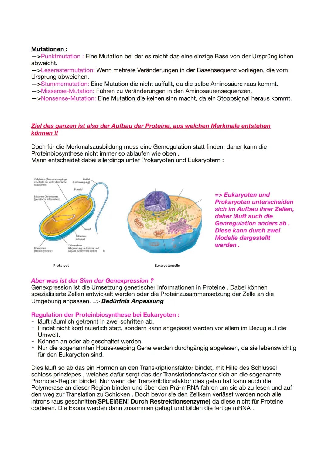 Bio Genetik Klausur 2
Allgemeine Protein Bio Synthese:
DNA
(codogener
Strang)
mRNA
(Codon)
tRNA
(Anticodon)
Die Proteinbiosynthese erfolgt i