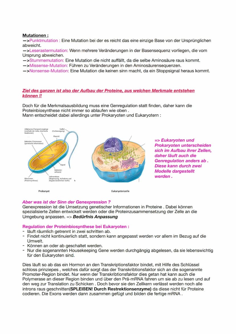 Bio Genetik Klausur 2
Allgemeine Protein Bio Synthese:
DNA
(codogener
Strang)
mRNA
(Codon)
tRNA
(Anticodon)
Die Proteinbiosynthese erfolgt i