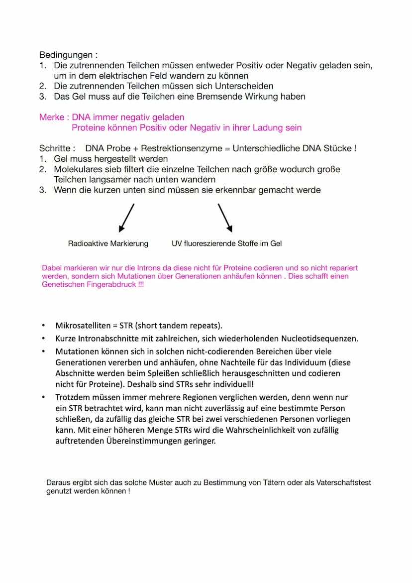 Bio Genetik Klausur 2
Allgemeine Protein Bio Synthese:
DNA
(codogener
Strang)
mRNA
(Codon)
tRNA
(Anticodon)
Die Proteinbiosynthese erfolgt i