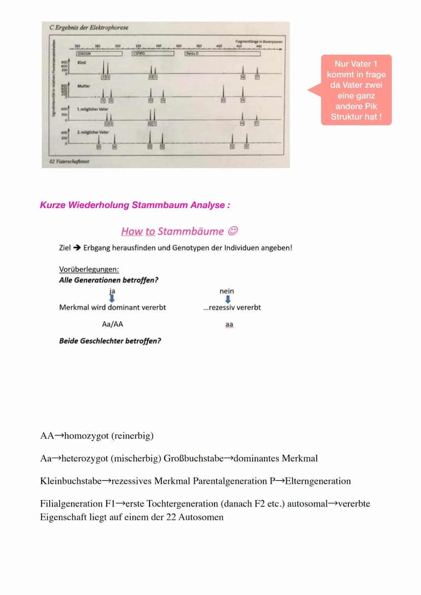 Bio Genetik Klausur 2
Allgemeine Protein Bio Synthese:
DNA
(codogener
Strang)
mRNA
(Codon)
tRNA
(Anticodon)
Die Proteinbiosynthese erfolgt i