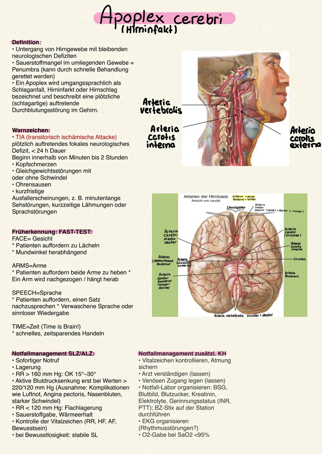 Definition:
• Untergang von Hirngewebe mit bleibenden
neurologischen Defiziten
• Sauerstoffmangel im umliegenden Gewebe =
Penumbra (kann dur