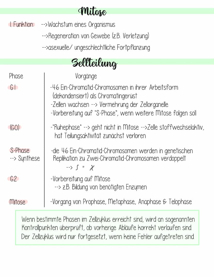  Genetik
Krebs
Fachbegriffsdefinition:
Krebs- vom gl. Arzt Hyppokrates ca. 400 v. Chr. entdecktes autonomes,
ungesteuertes Invasives Wachstu