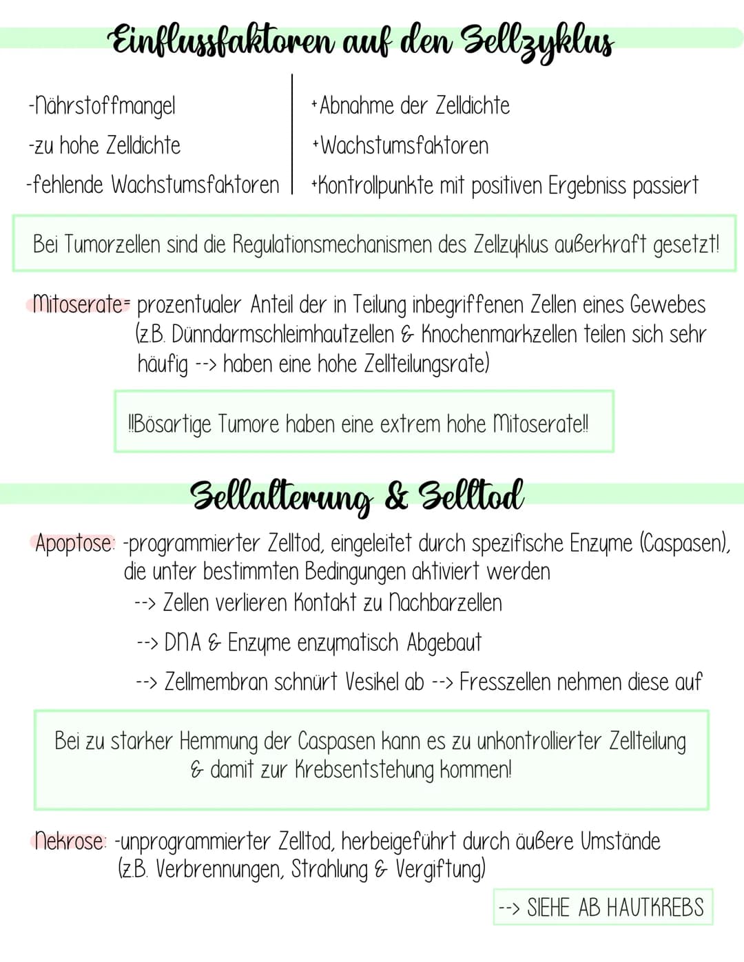  Genetik
Krebs
Fachbegriffsdefinition:
Krebs- vom gl. Arzt Hyppokrates ca. 400 v. Chr. entdecktes autonomes,
ungesteuertes Invasives Wachstu