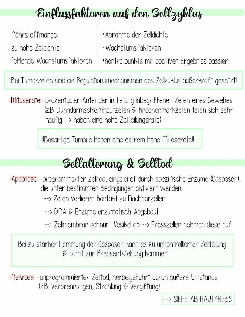  Genetik
Krebs
Fachbegriffsdefinition:
Krebs- vom gl. Arzt Hyppokrates ca. 400 v. Chr. entdecktes autonomes,
ungesteuertes Invasives Wachstu