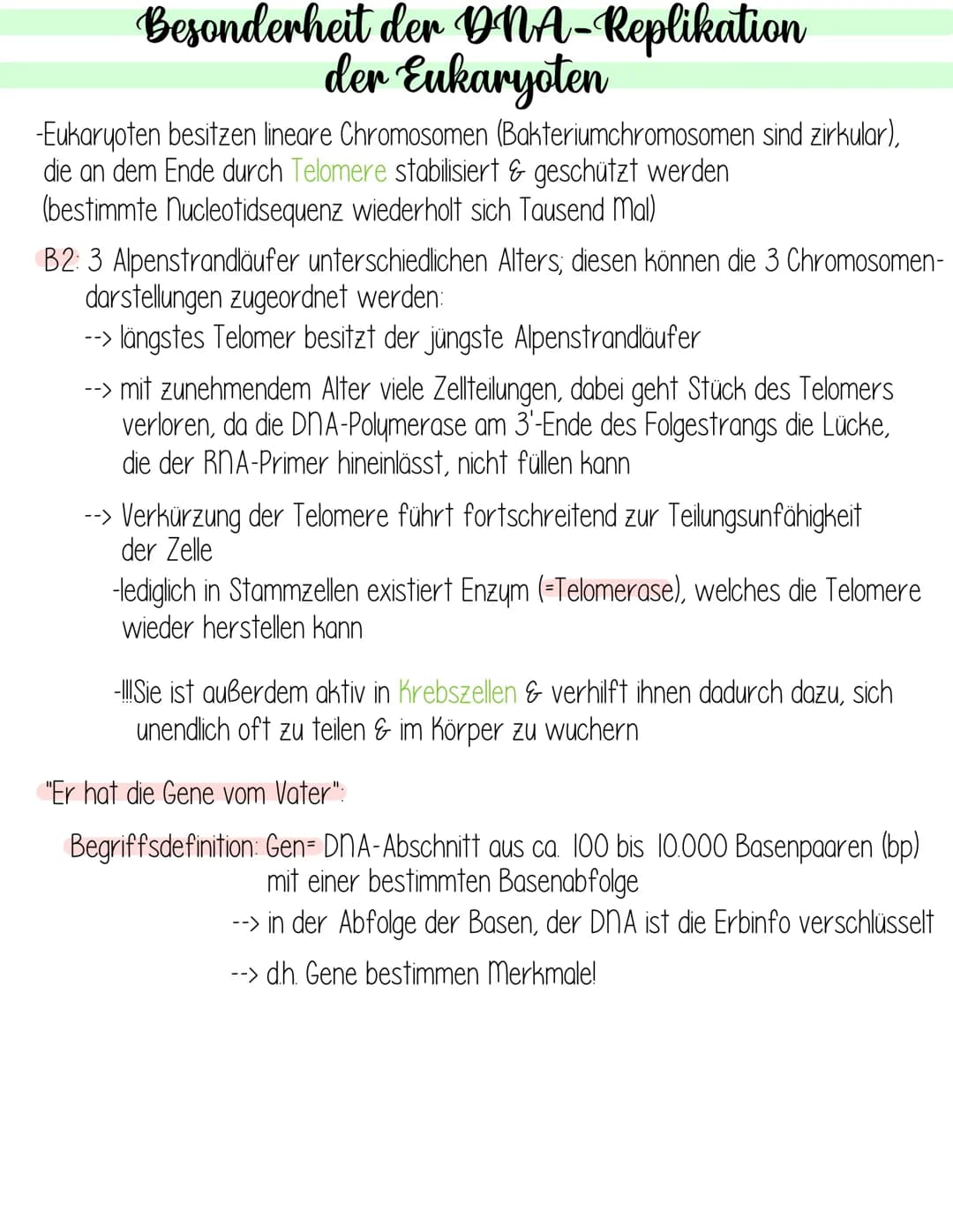  Genetik
Krebs
Fachbegriffsdefinition:
Krebs- vom gl. Arzt Hyppokrates ca. 400 v. Chr. entdecktes autonomes,
ungesteuertes Invasives Wachstu