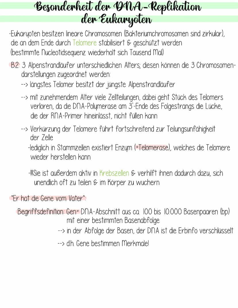  Genetik
Krebs
Fachbegriffsdefinition:
Krebs- vom gl. Arzt Hyppokrates ca. 400 v. Chr. entdecktes autonomes,
ungesteuertes Invasives Wachstu