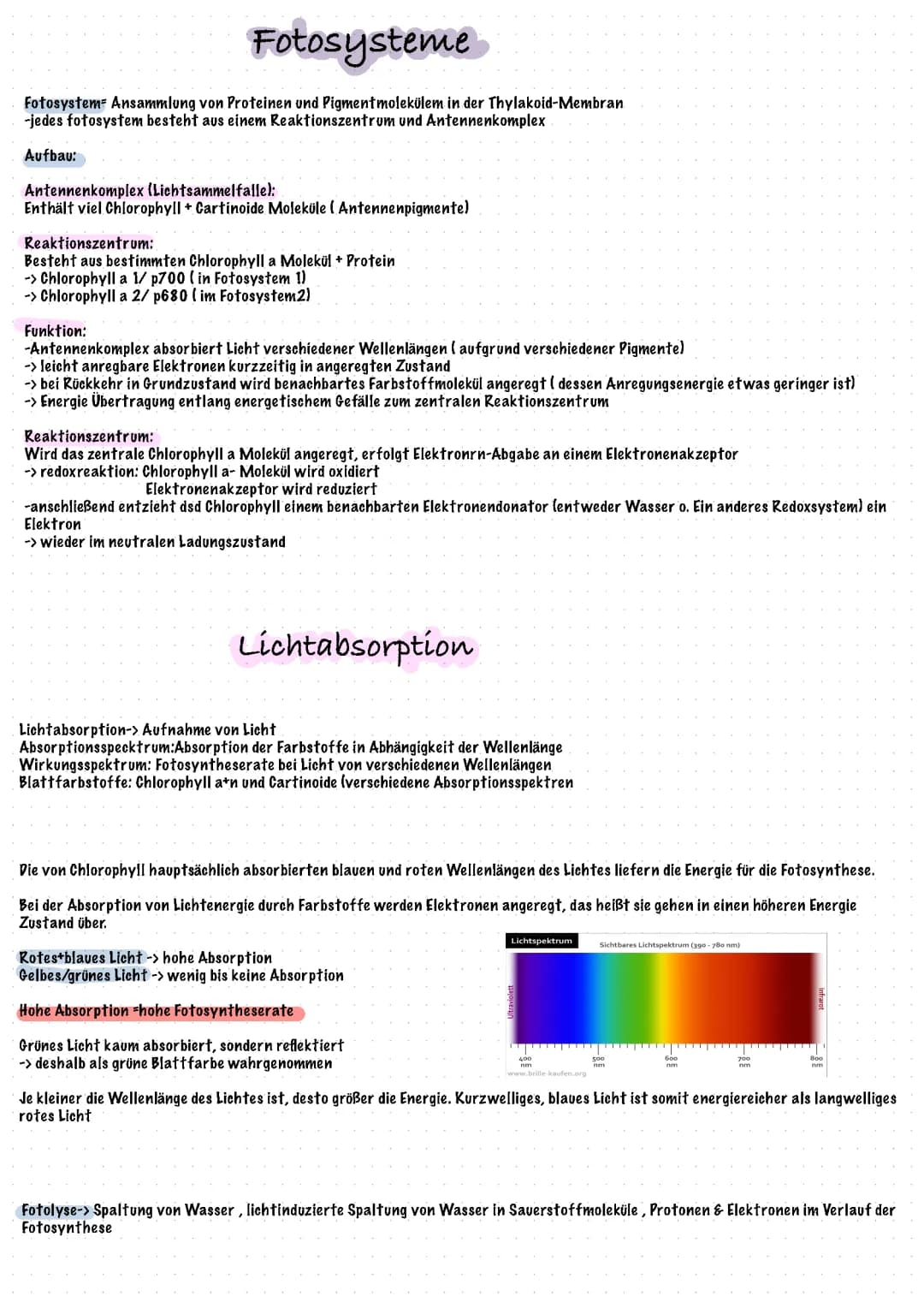 Fotosysteme , Lichtabsorption und Aufbau des Chloroplasten
