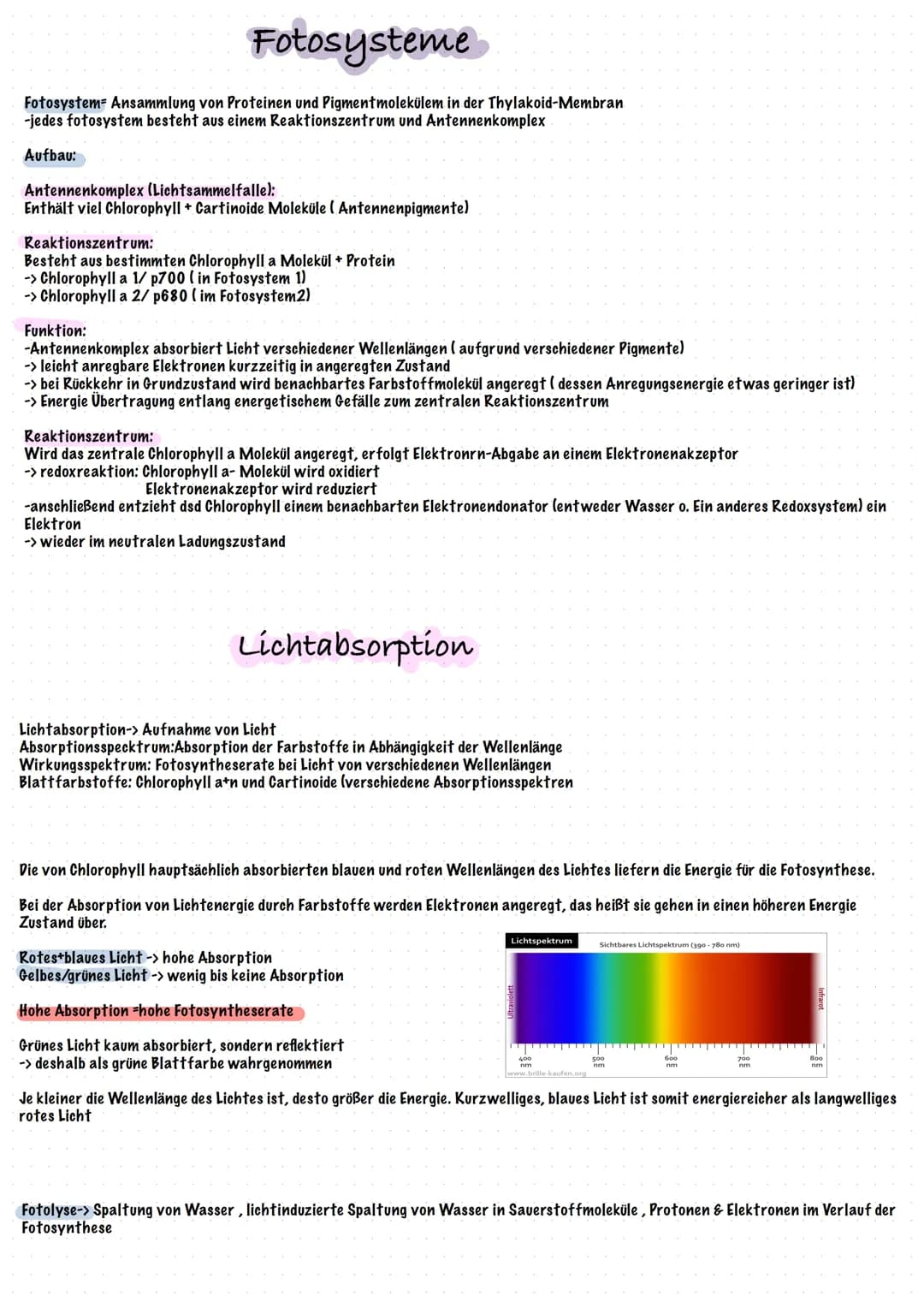 Fotosysteme
Fotosystem- Ansammlung von Proteinen und Pigmentmolekülem in der Thylakoid-Membran
-jedes fotosystem besteht aus einem Reaktions