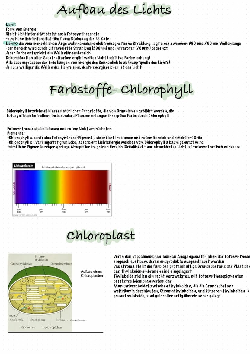 Fotosysteme
Fotosystem- Ansammlung von Proteinen und Pigmentmolekülem in der Thylakoid-Membran
-jedes fotosystem besteht aus einem Reaktions