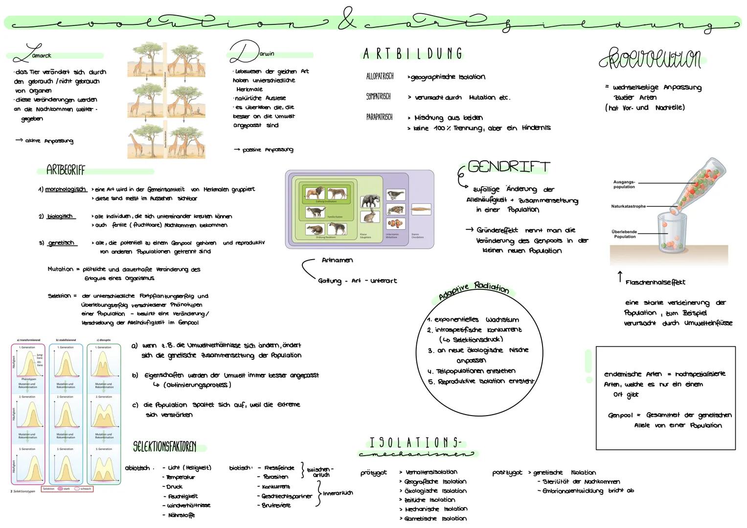 # amarck

- das Tier verändert sich durch
den gebrauch/nicht gebrauch
von organen
- diese veränderungen werden
an die Nachkommen weiter -
ge