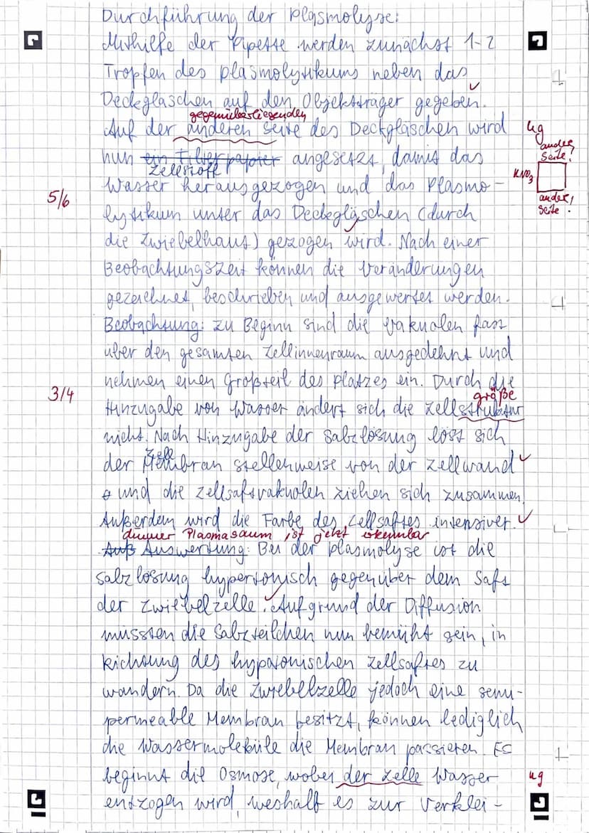 r
Protokoll Plasmolyse
U
Thema plasmolyse an einer selle der küchen widel
Aufgabenstellung: Stellen Sie ein Praparas
der Cunseren Epidermis 