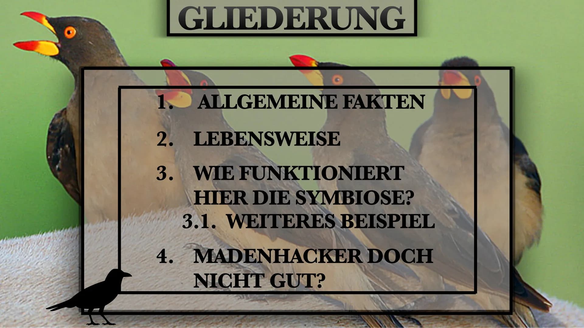 DER MADENHACKER
ELLISAVET STAMPOLIDOU, 11C GLIEDERUNG
1. ALLGEMEINE FAKTEN
2. LEBENSWEISE
3. WIE FUNKTIONIERT
HIER DIE SYMBIOSE?
3.1. WEITER