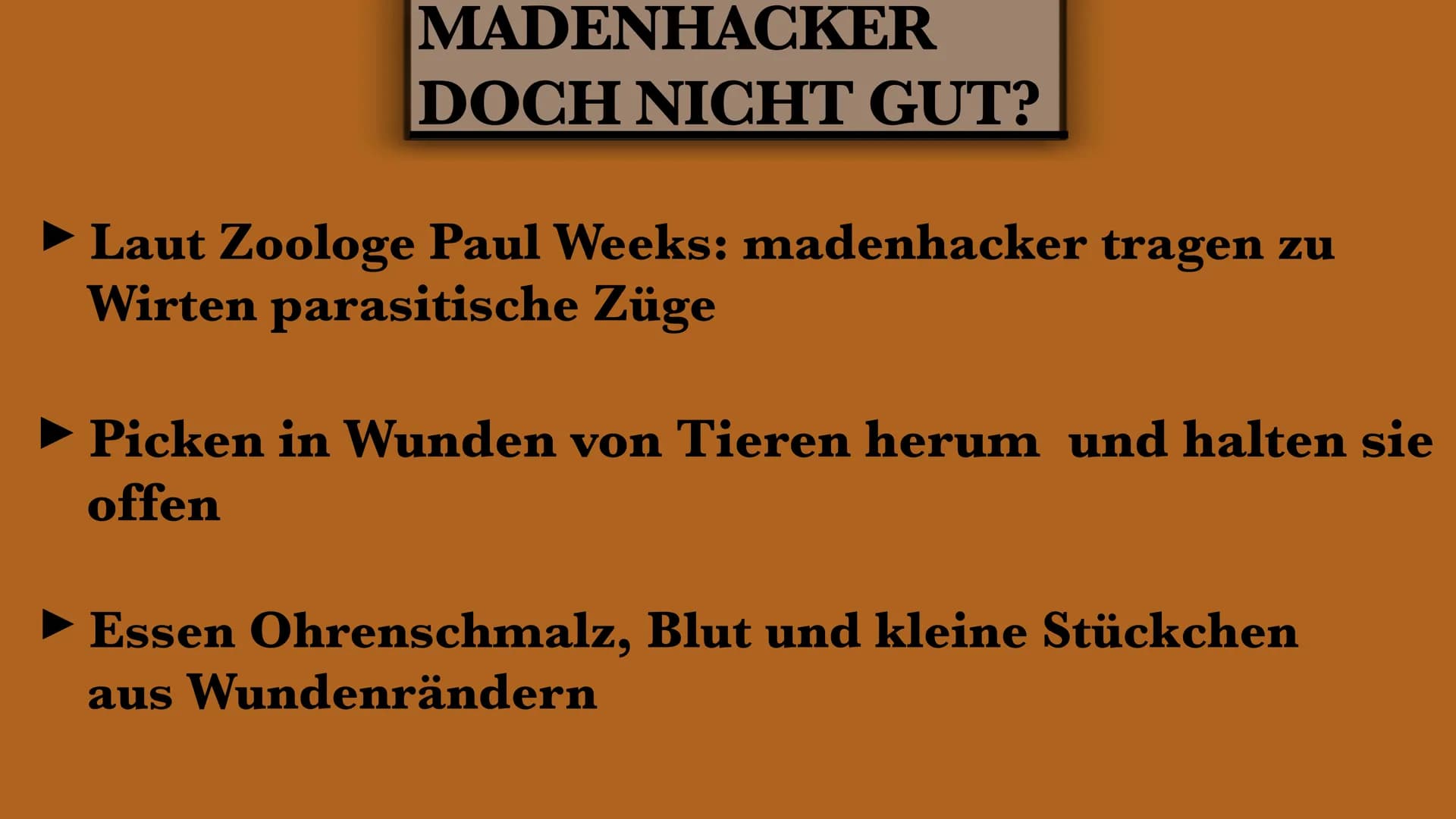 DER MADENHACKER
ELLISAVET STAMPOLIDOU, 11C GLIEDERUNG
1. ALLGEMEINE FAKTEN
2. LEBENSWEISE
3. WIE FUNKTIONIERT
HIER DIE SYMBIOSE?
3.1. WEITER