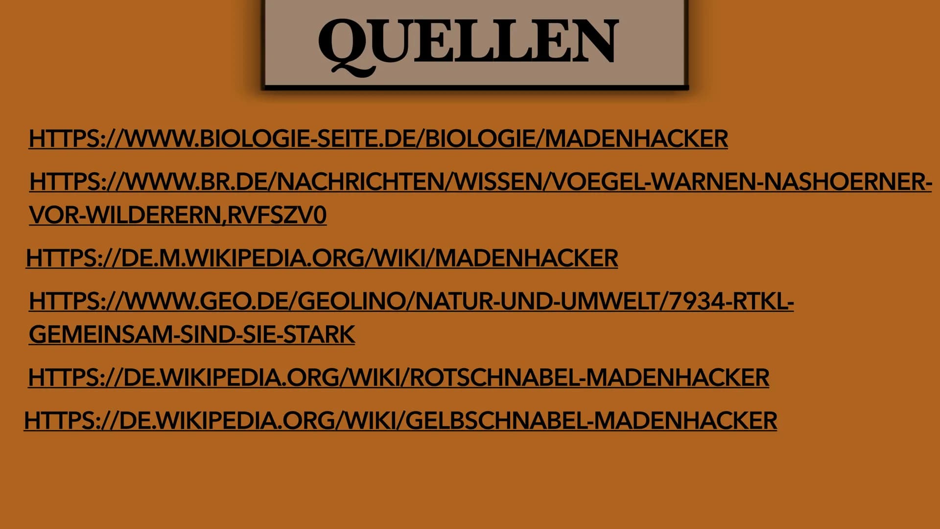 DER MADENHACKER
ELLISAVET STAMPOLIDOU, 11C GLIEDERUNG
1. ALLGEMEINE FAKTEN
2. LEBENSWEISE
3. WIE FUNKTIONIERT
HIER DIE SYMBIOSE?
3.1. WEITER