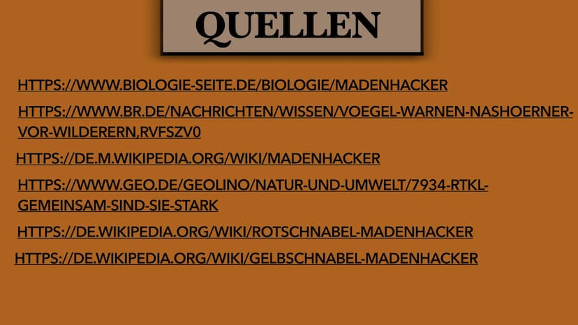 DER MADENHACKER
ELLISAVET STAMPOLIDOU, 11C GLIEDERUNG
1. ALLGEMEINE FAKTEN
2. LEBENSWEISE
3. WIE FUNKTIONIERT
HIER DIE SYMBIOSE?
3.1. WEITER