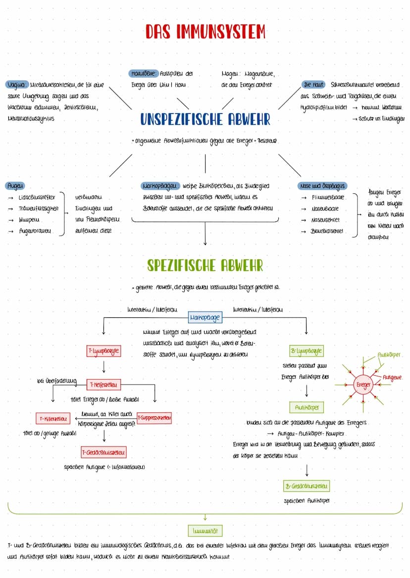 GESUNDHEIT
WISSENSCHAFT
-INFEKTIONSKRANKHEITEN- Erregermenge
lukubatiouszeit
Infektion.
biologisceler Toa: Erlöschen aller organfunktioueu
T